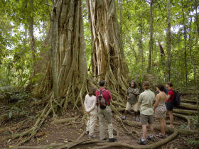 Queensland activity holiday, Australia